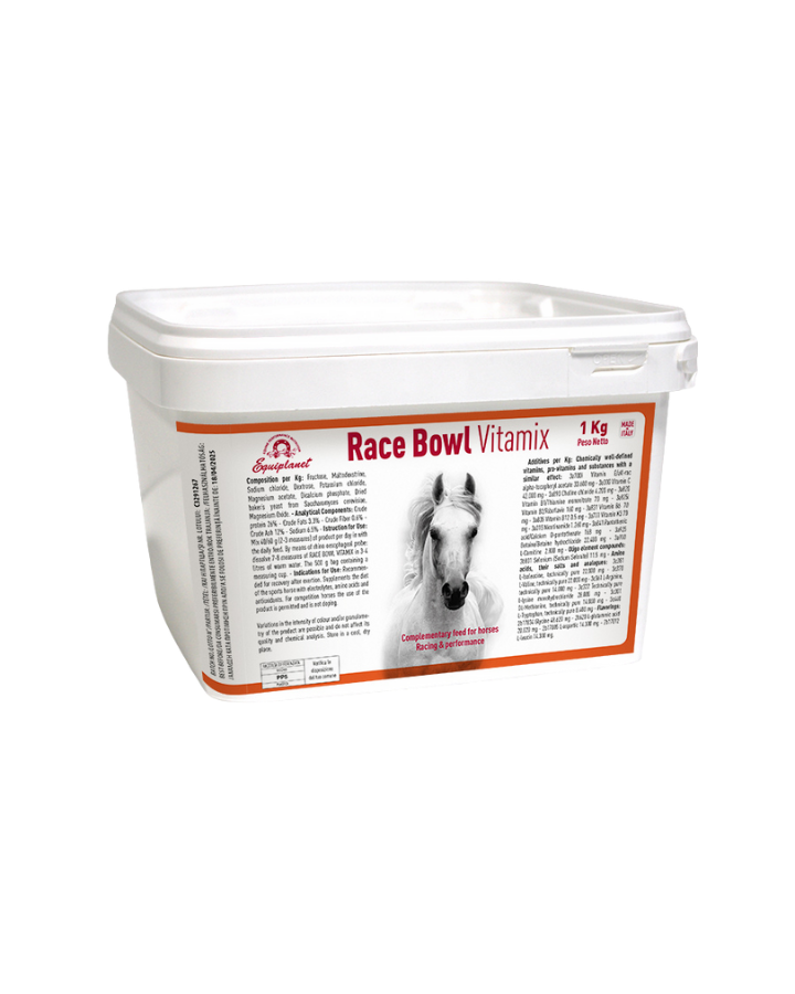Race Bowl Vitamix